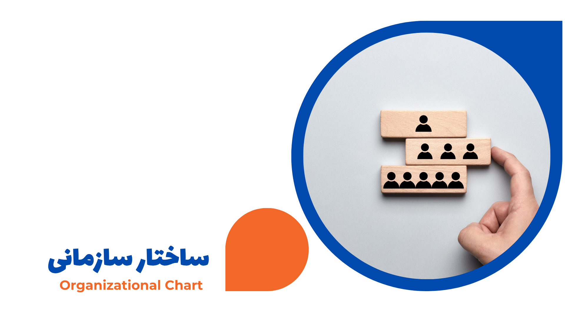 organization structure organization chart ساختار سازمانی